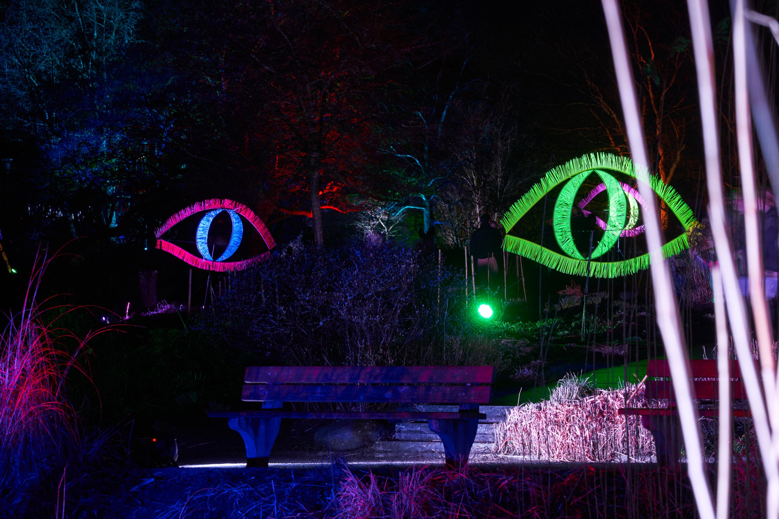 2024 02 23 Parkleuchten 0099